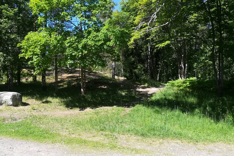 Metsäkirkko Lyanin takapihalla Metsäkirkko Lyanin takapihalla