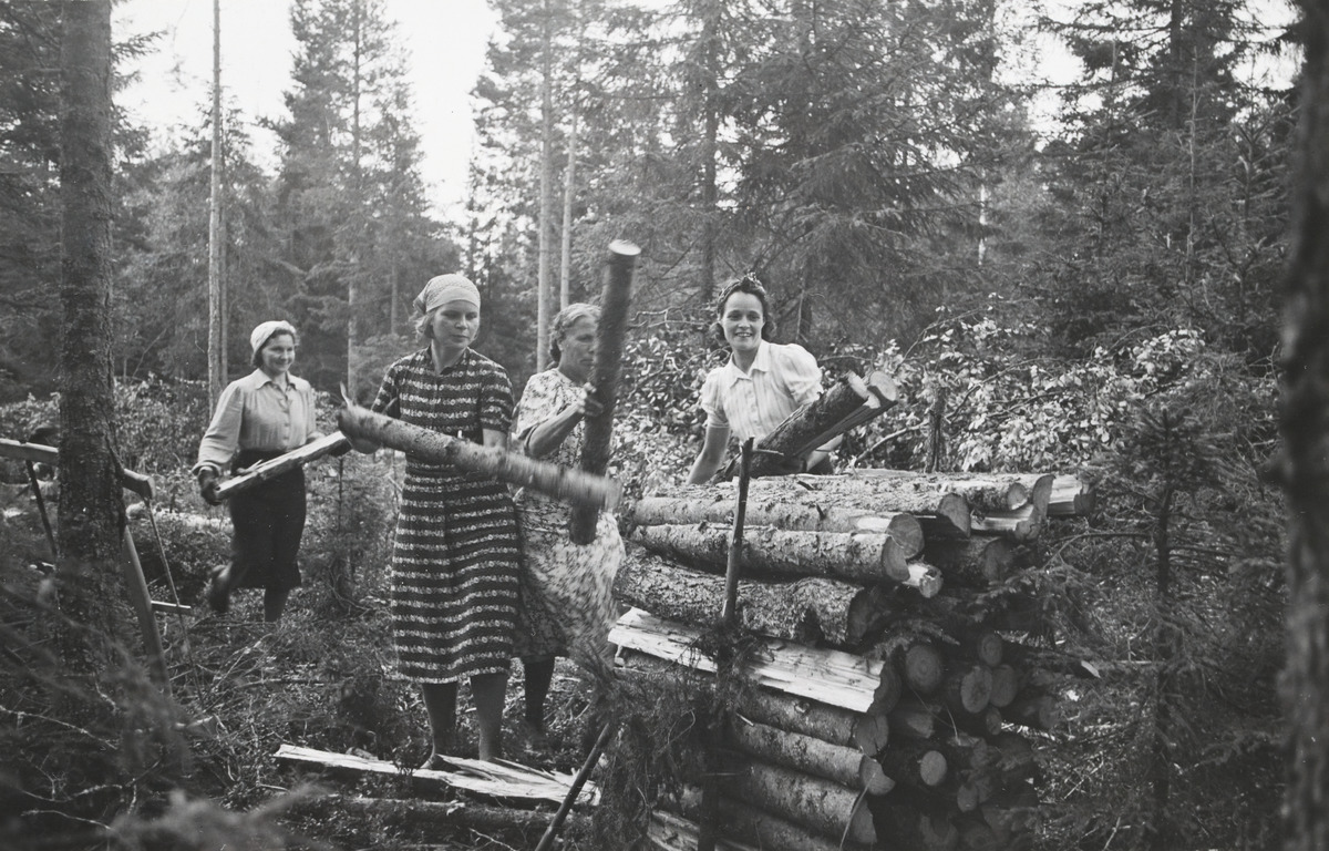 Naiset tekevät metsätöitä.
